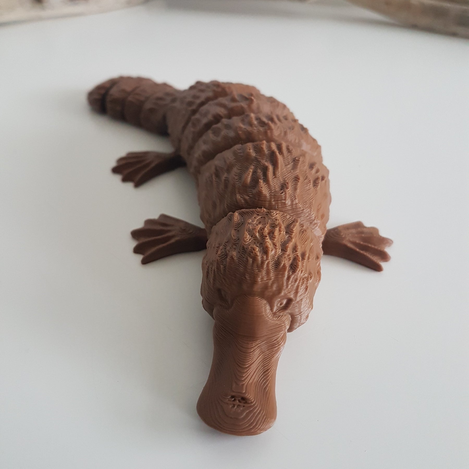 Platypus