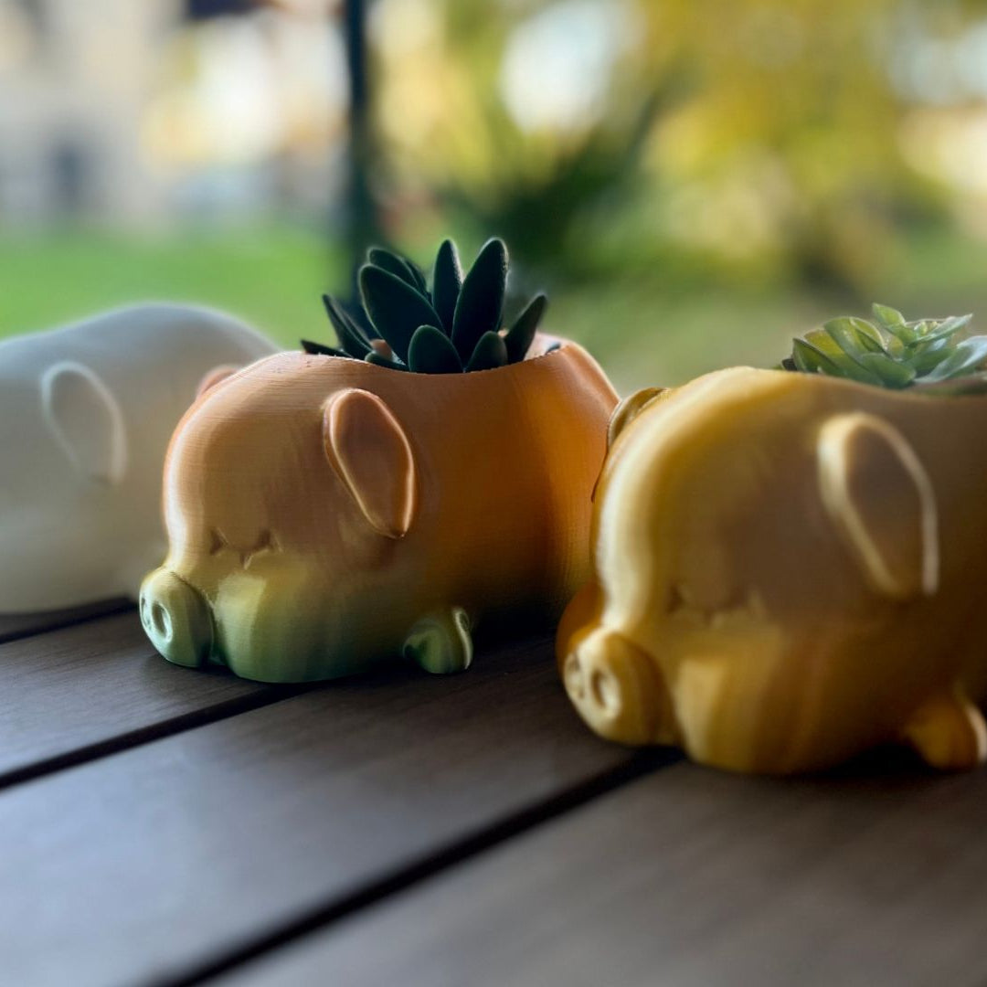 Pig Planter