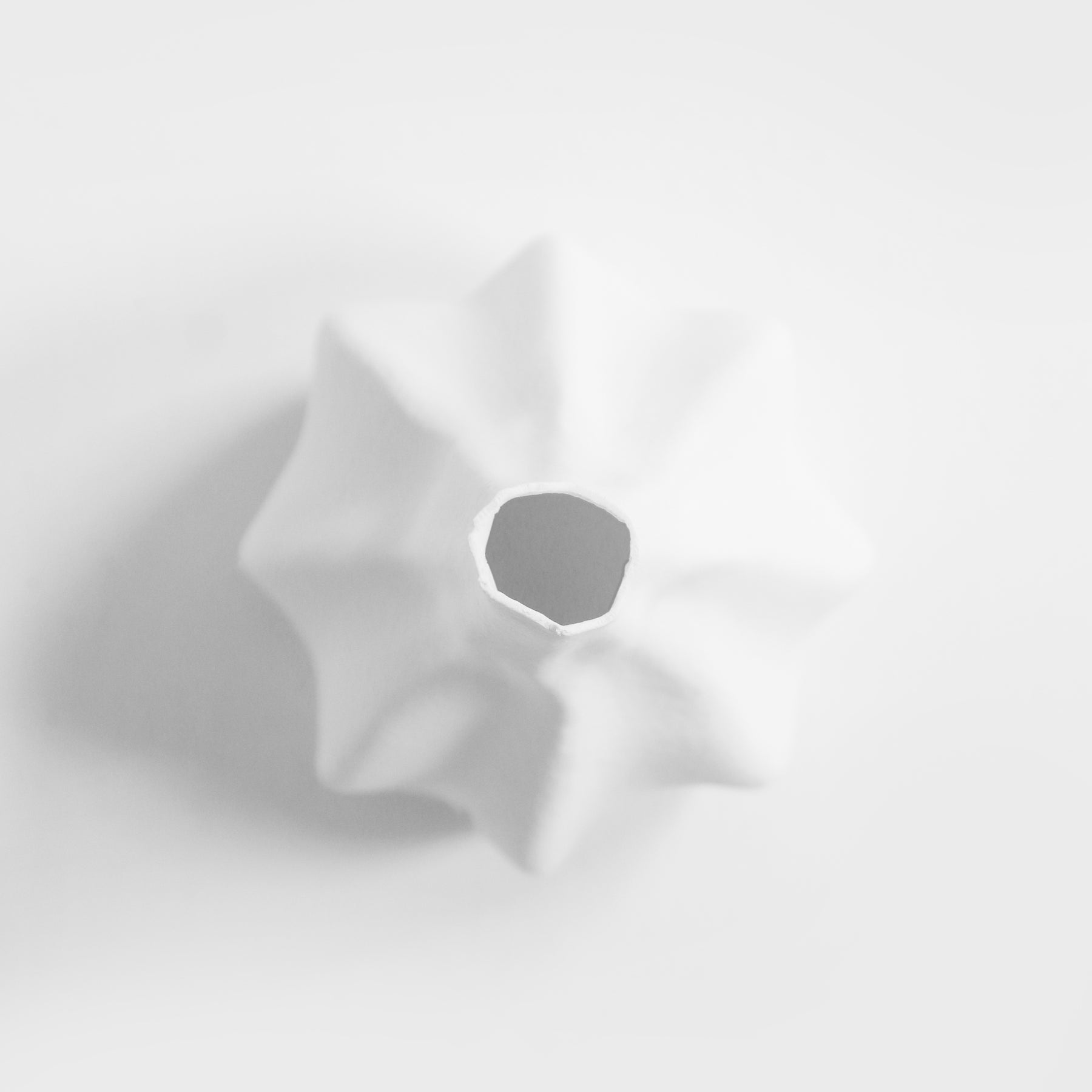 Meringue Vase