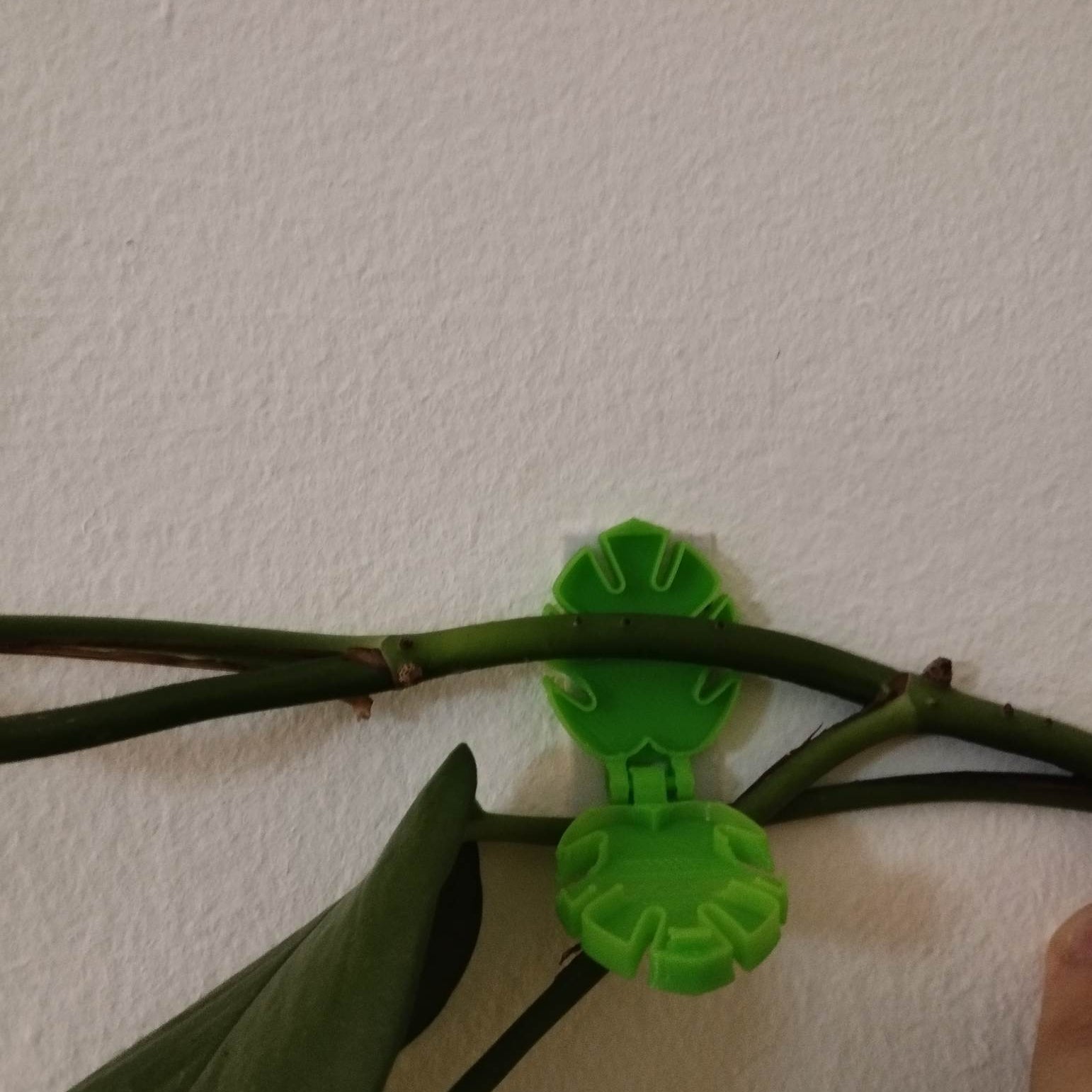 Wall Plant Holder - Pack of 8