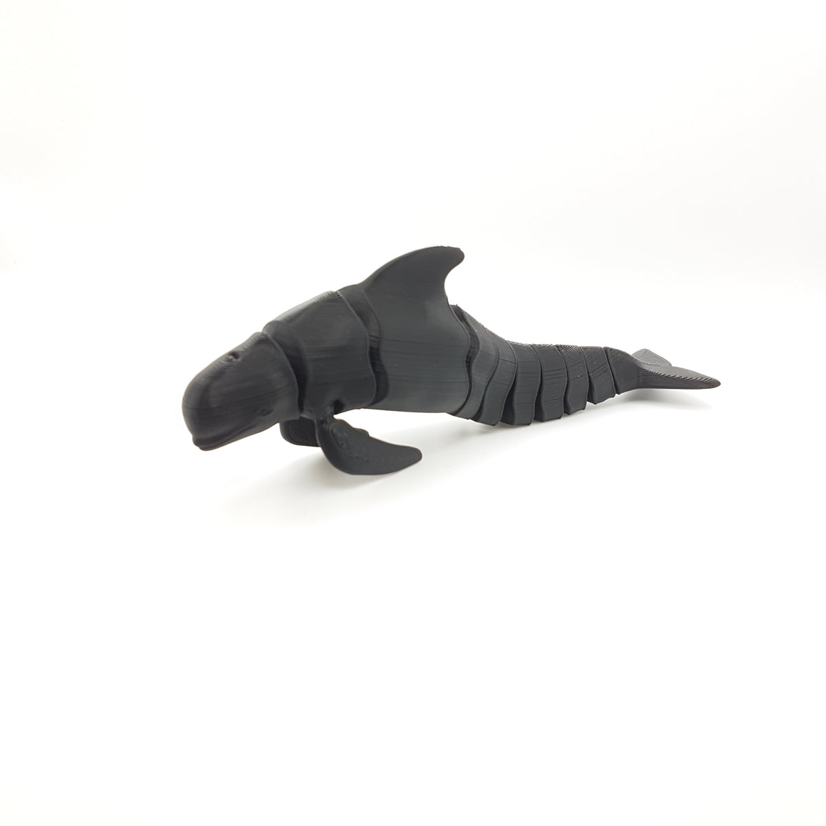 Pilot Whale