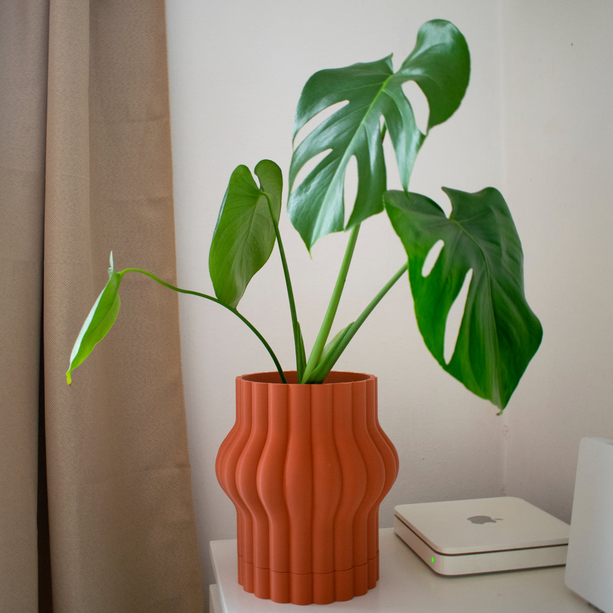 Aplaste Pot