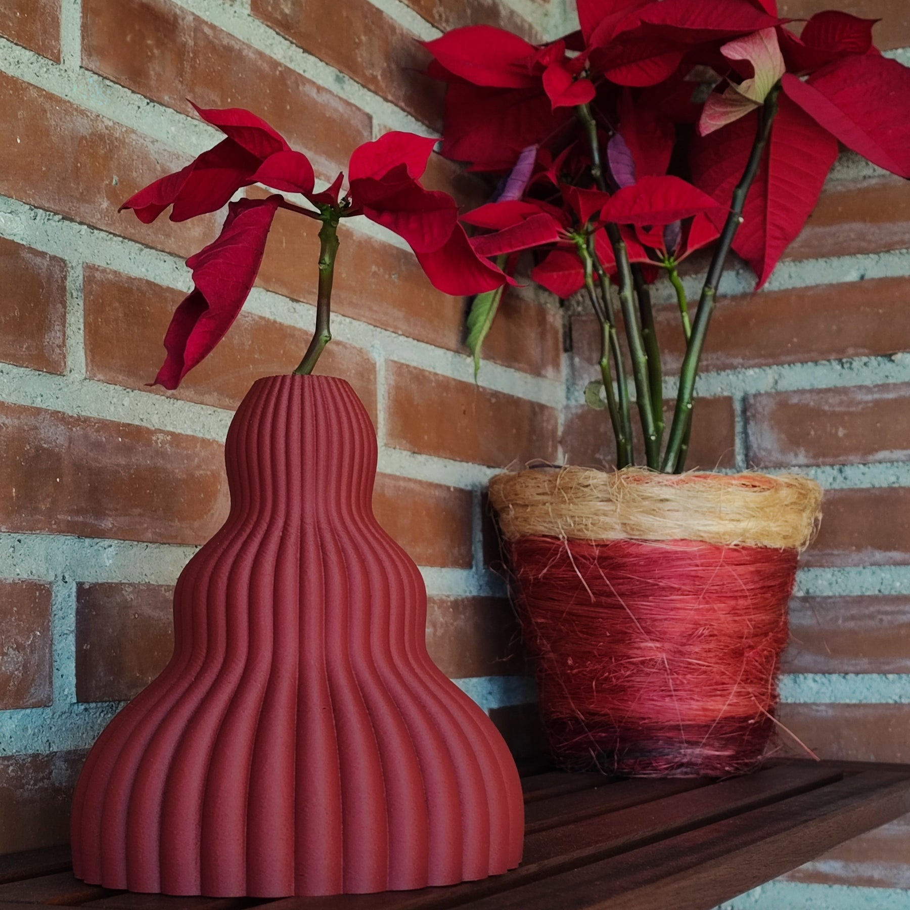Red Velvet Vase