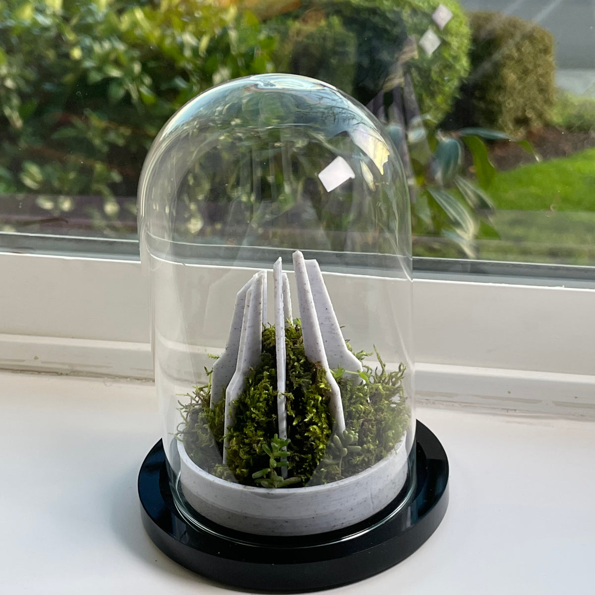 Spire Terrarium