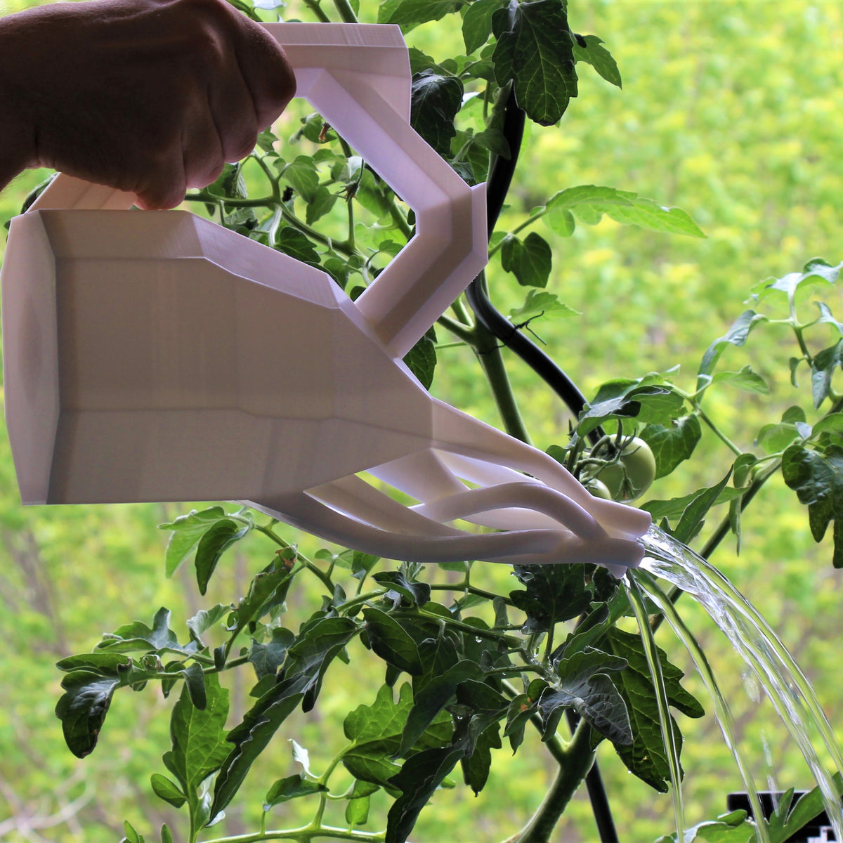 The Squid Watering Can