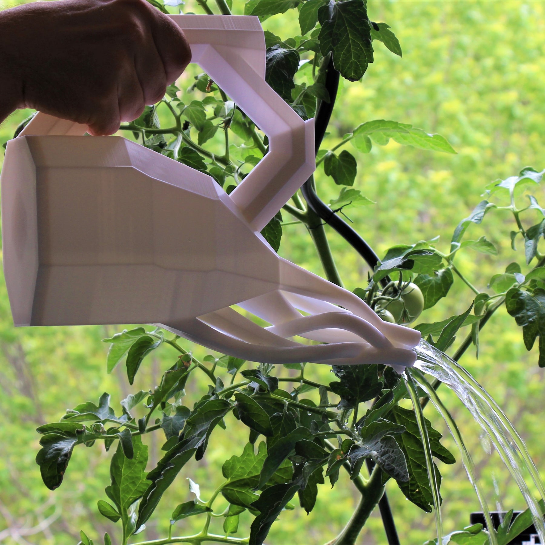 The Squid Watering Can