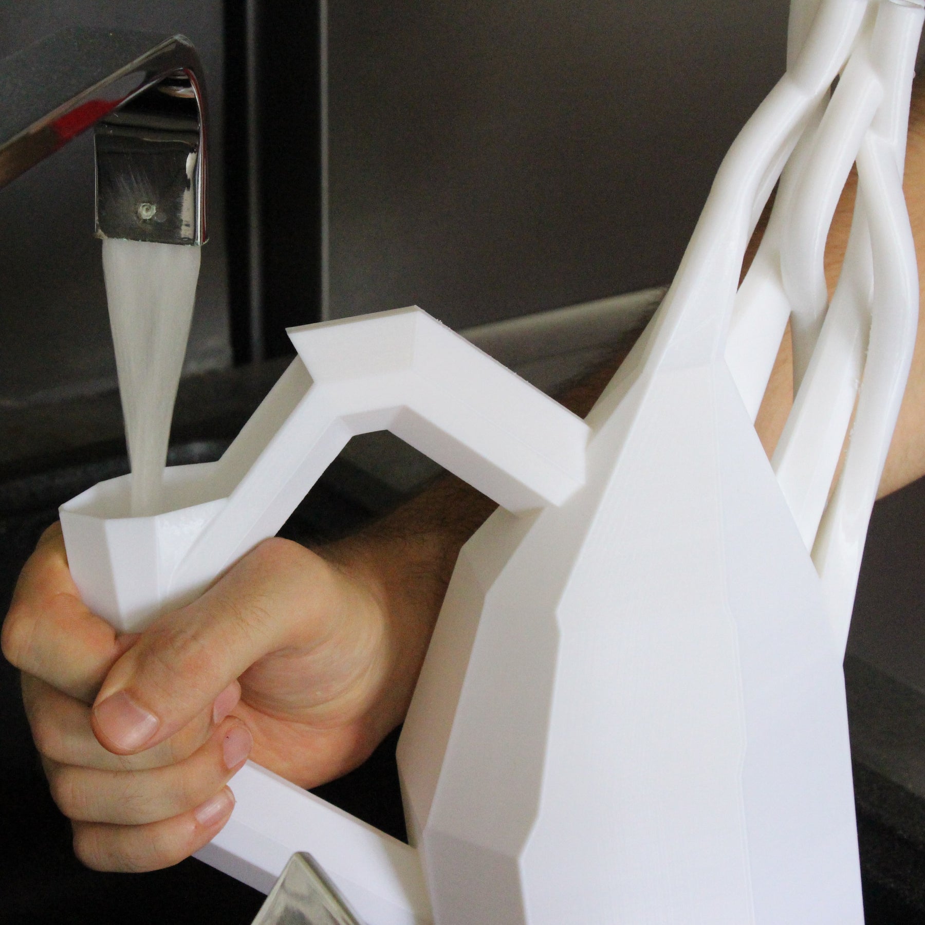 The Squid Watering Can
