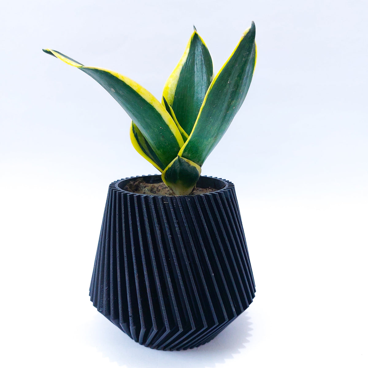 Textured Planter