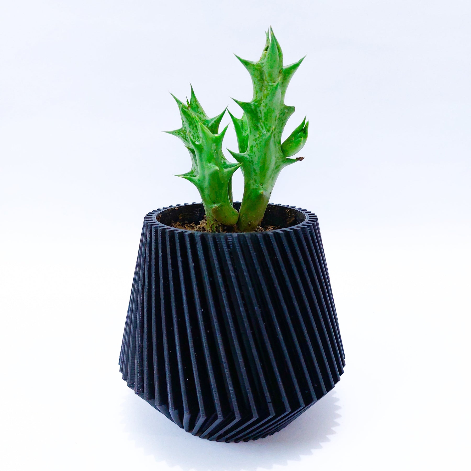 Textured Planter