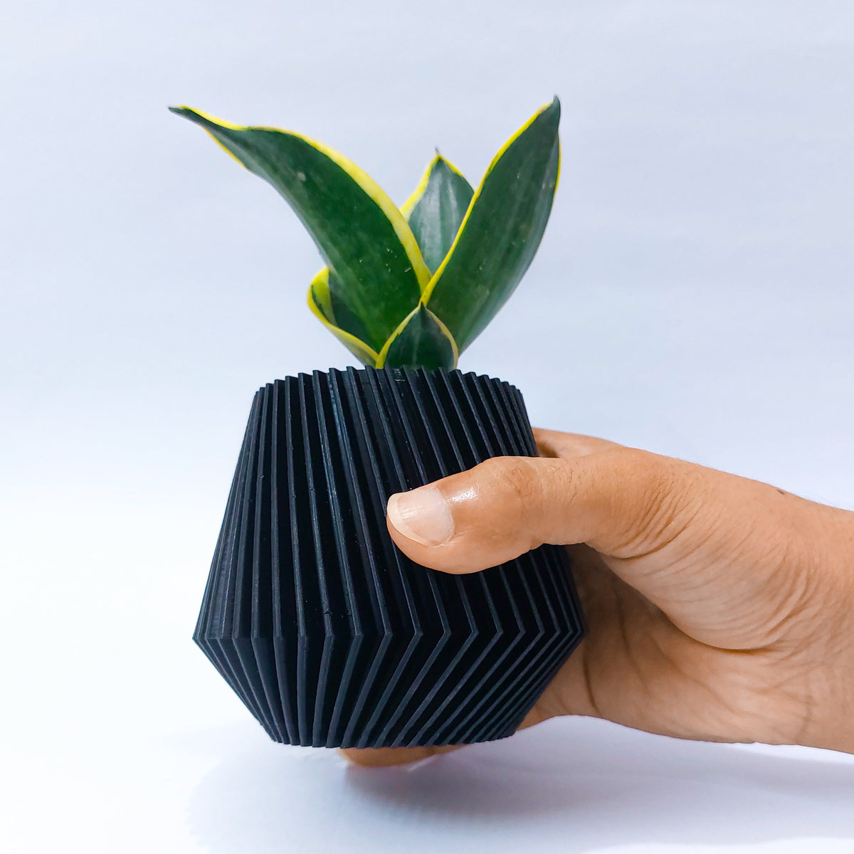 Textured Planter