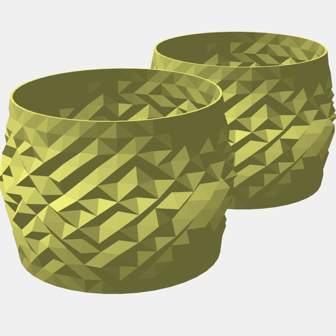 Double Succulent Planters Set