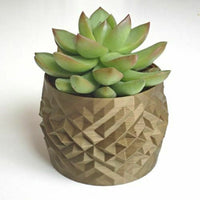 Double Succulent Planters Set