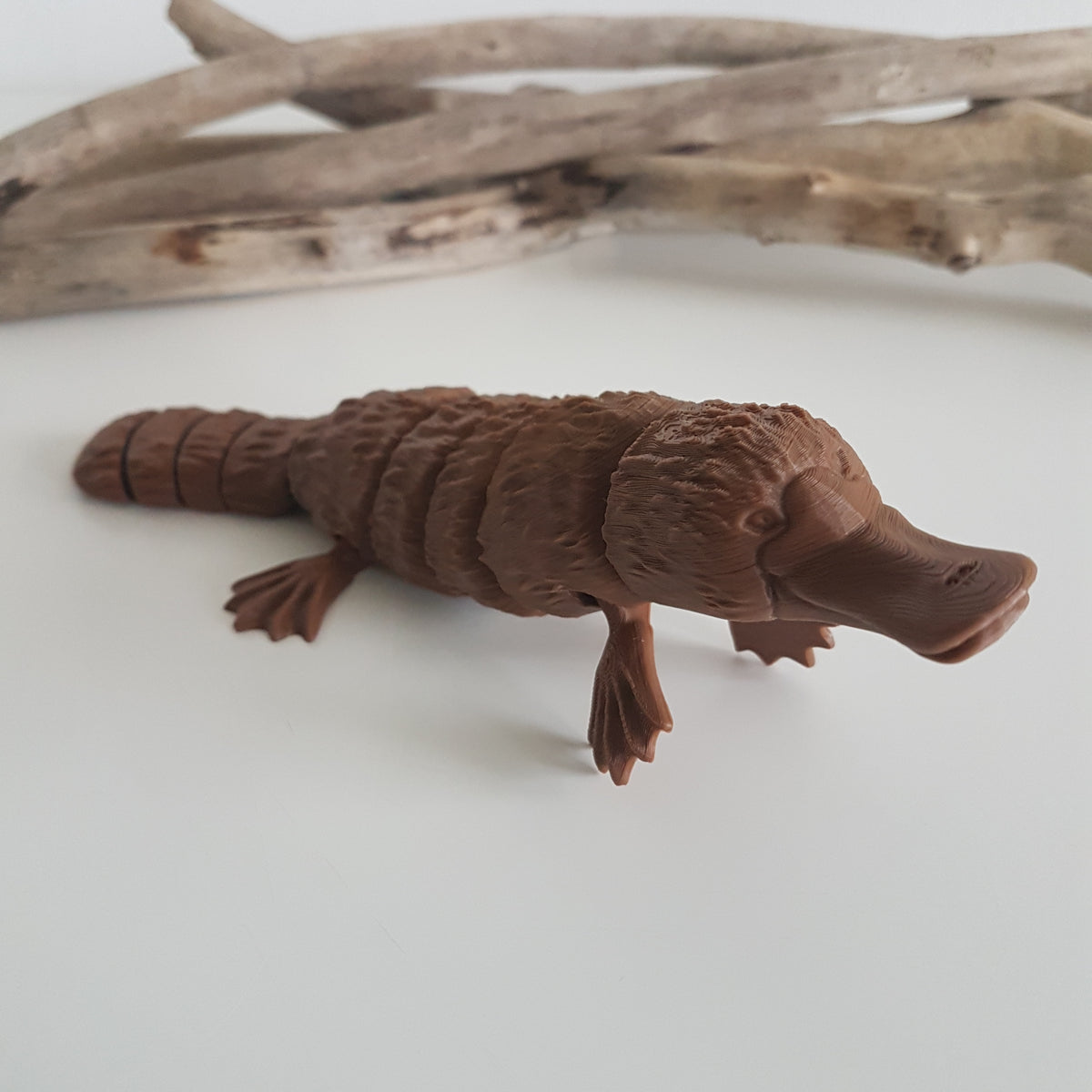 Platypus