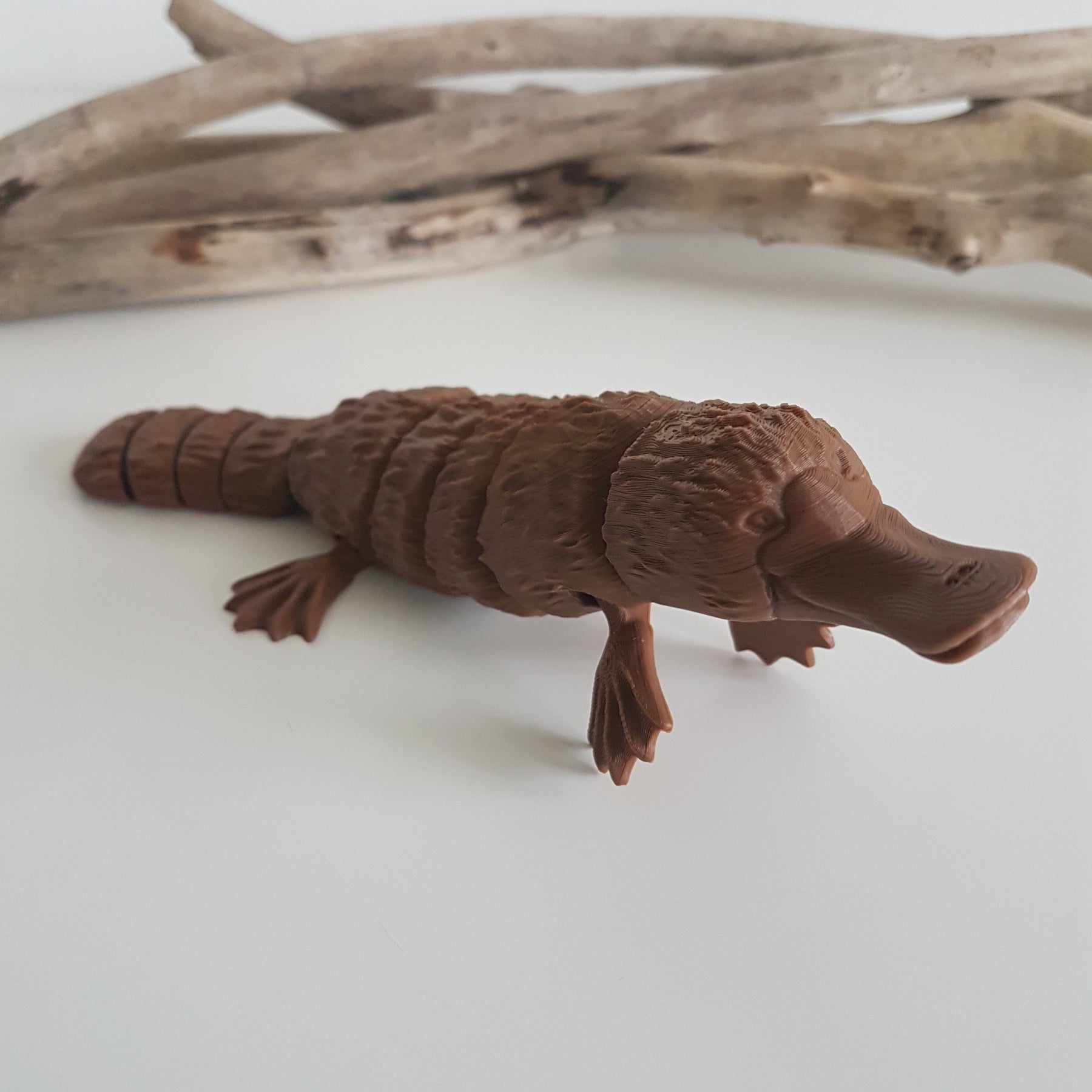 Platypus