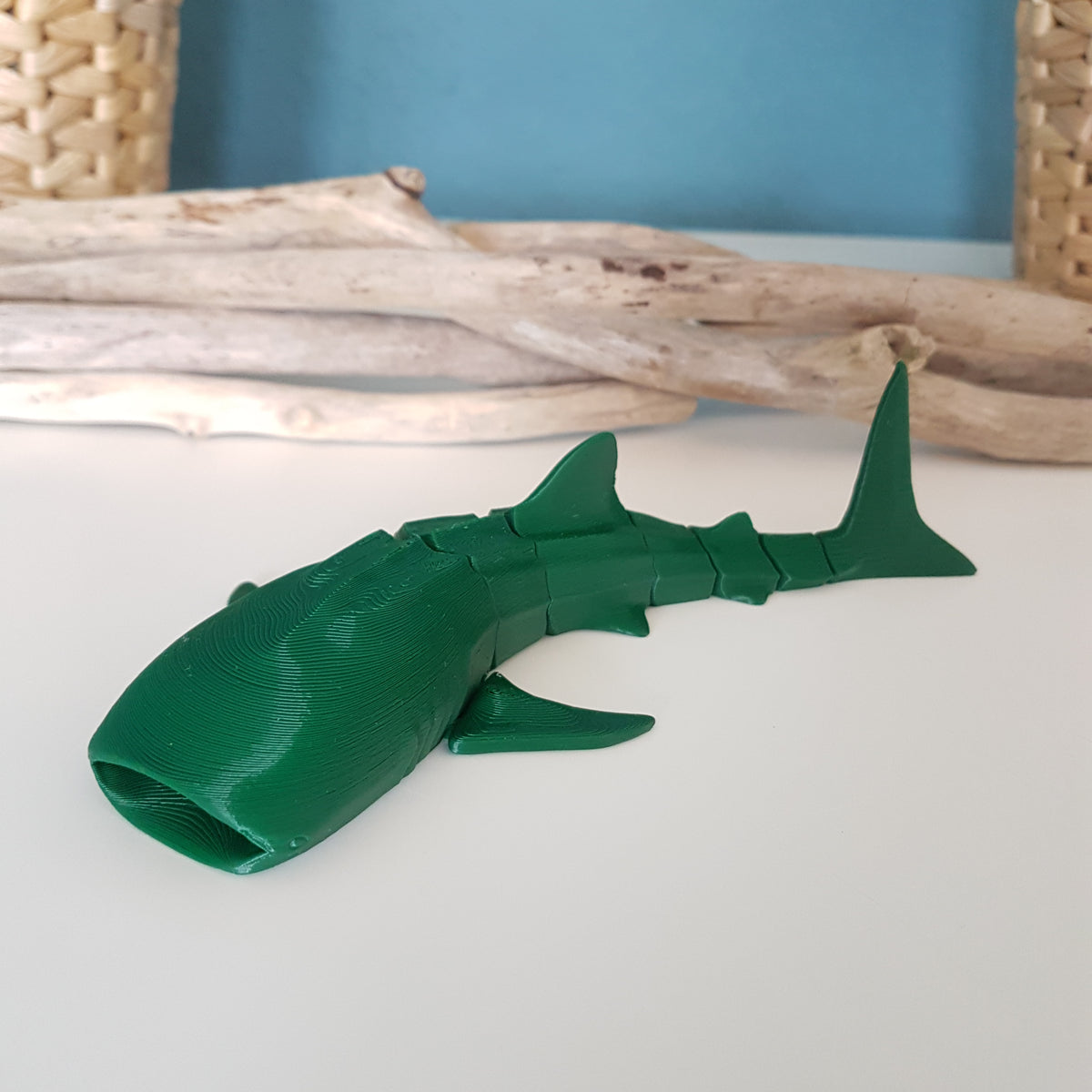 Whale Shark