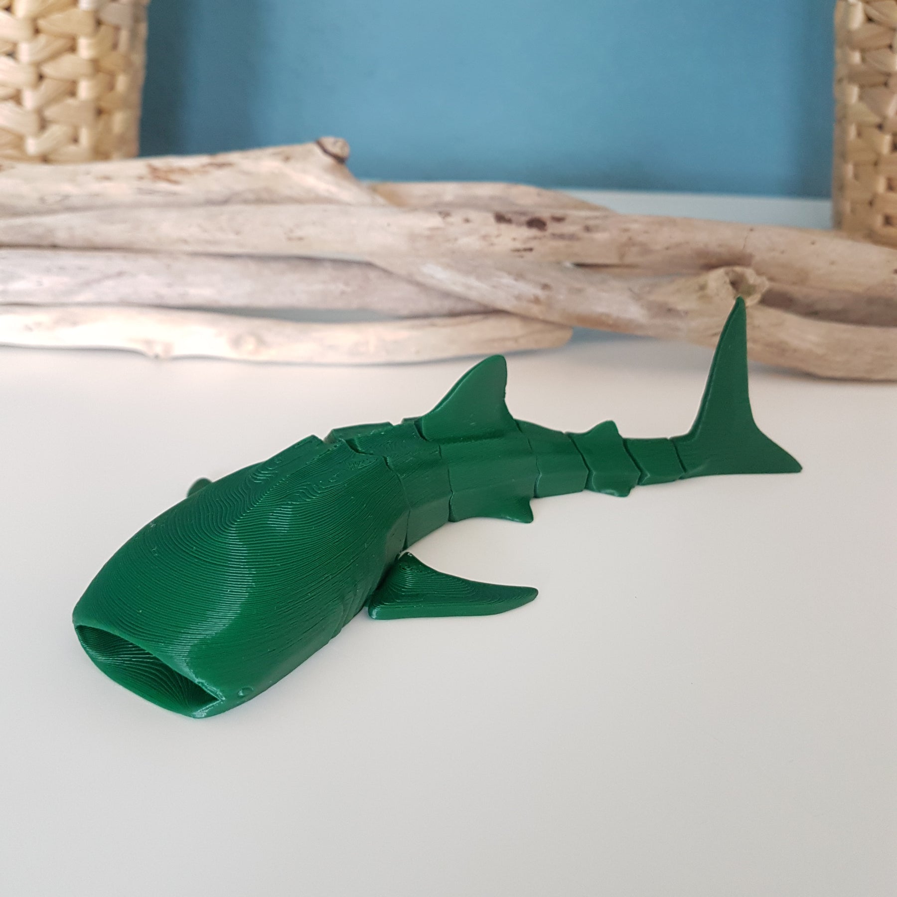 Whale Shark