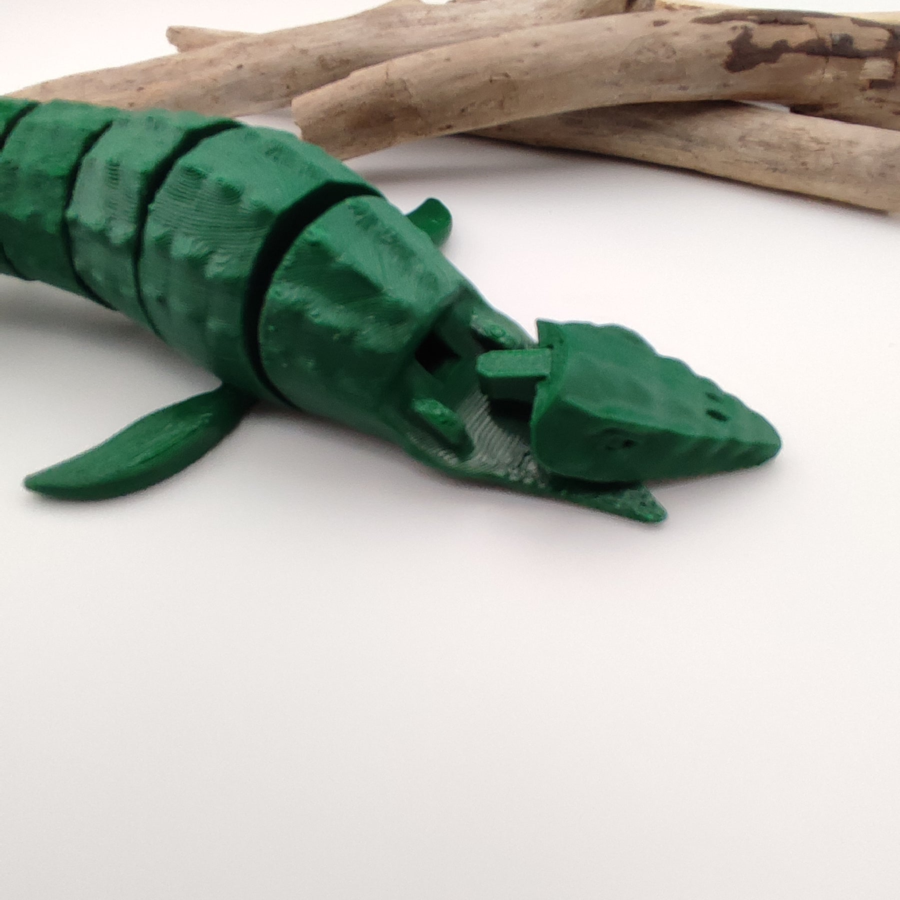 Mosasaurus
