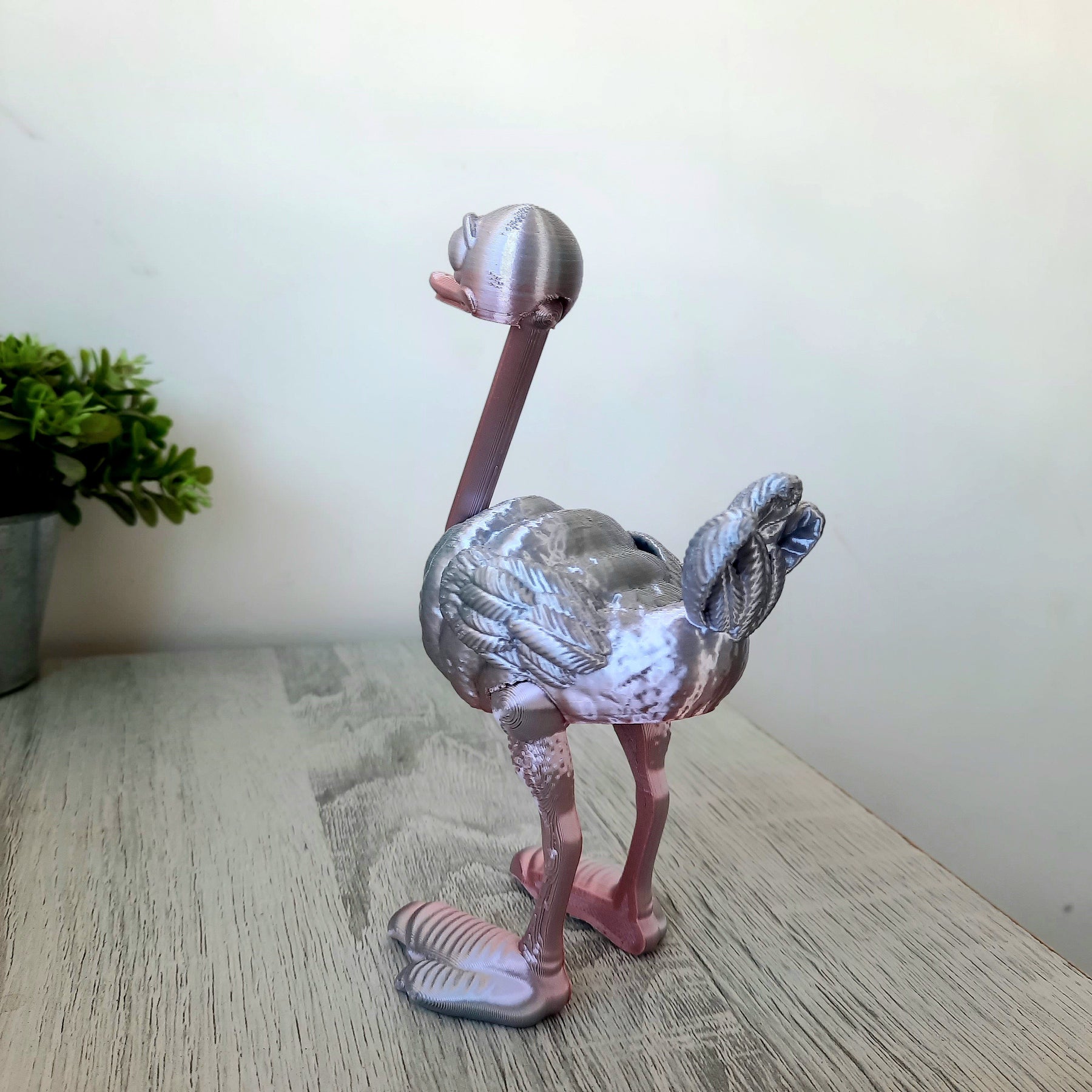 Ostrich