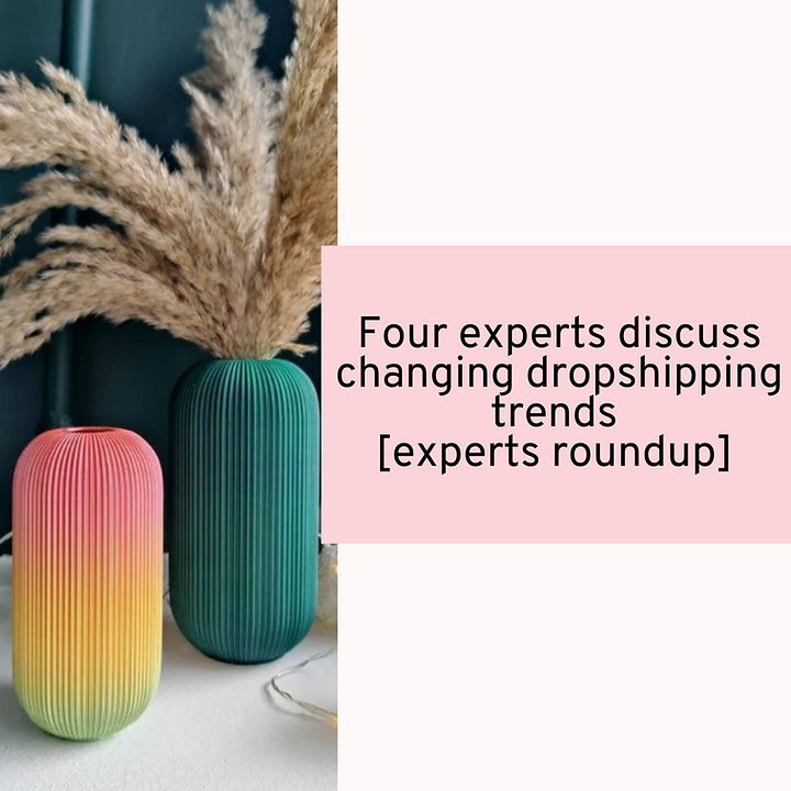 Four experts discuss changing dropshipping trends [experts roundup]