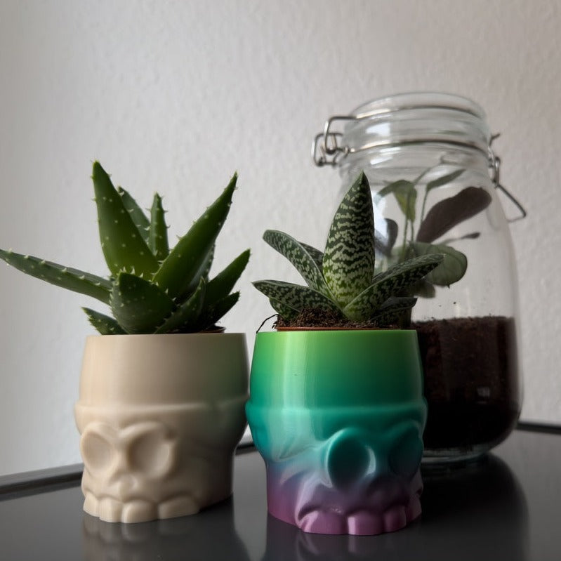 Stylized Skull Pot - Basic