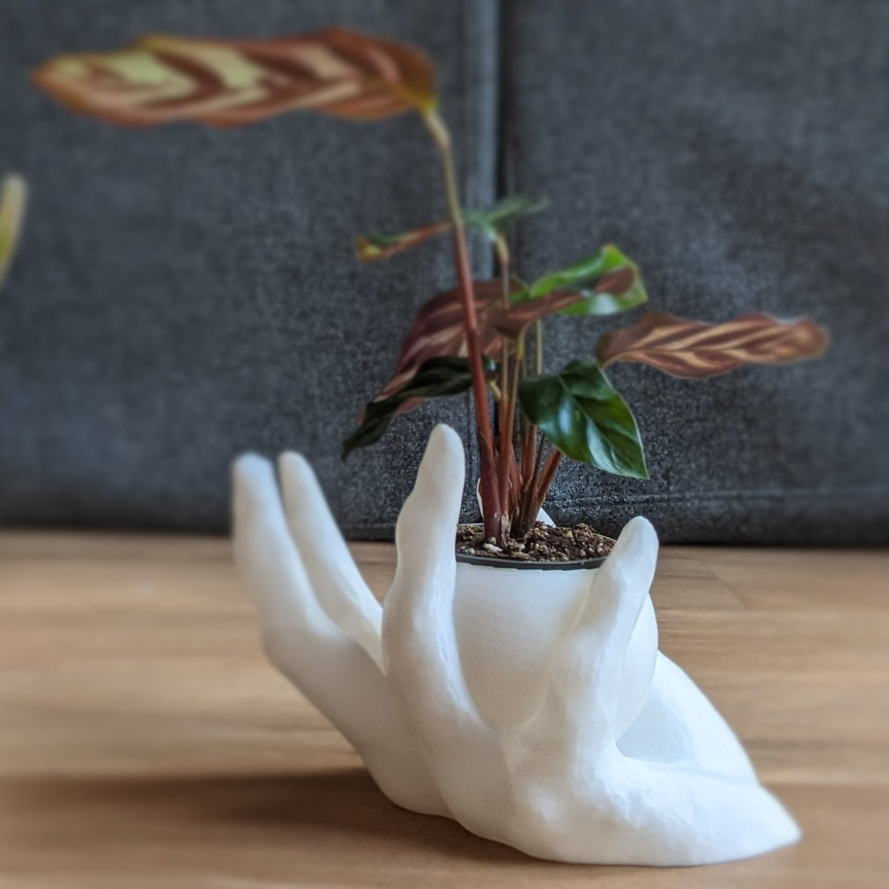 Planter - "helping hand" | flower pot | vase | succulent planter