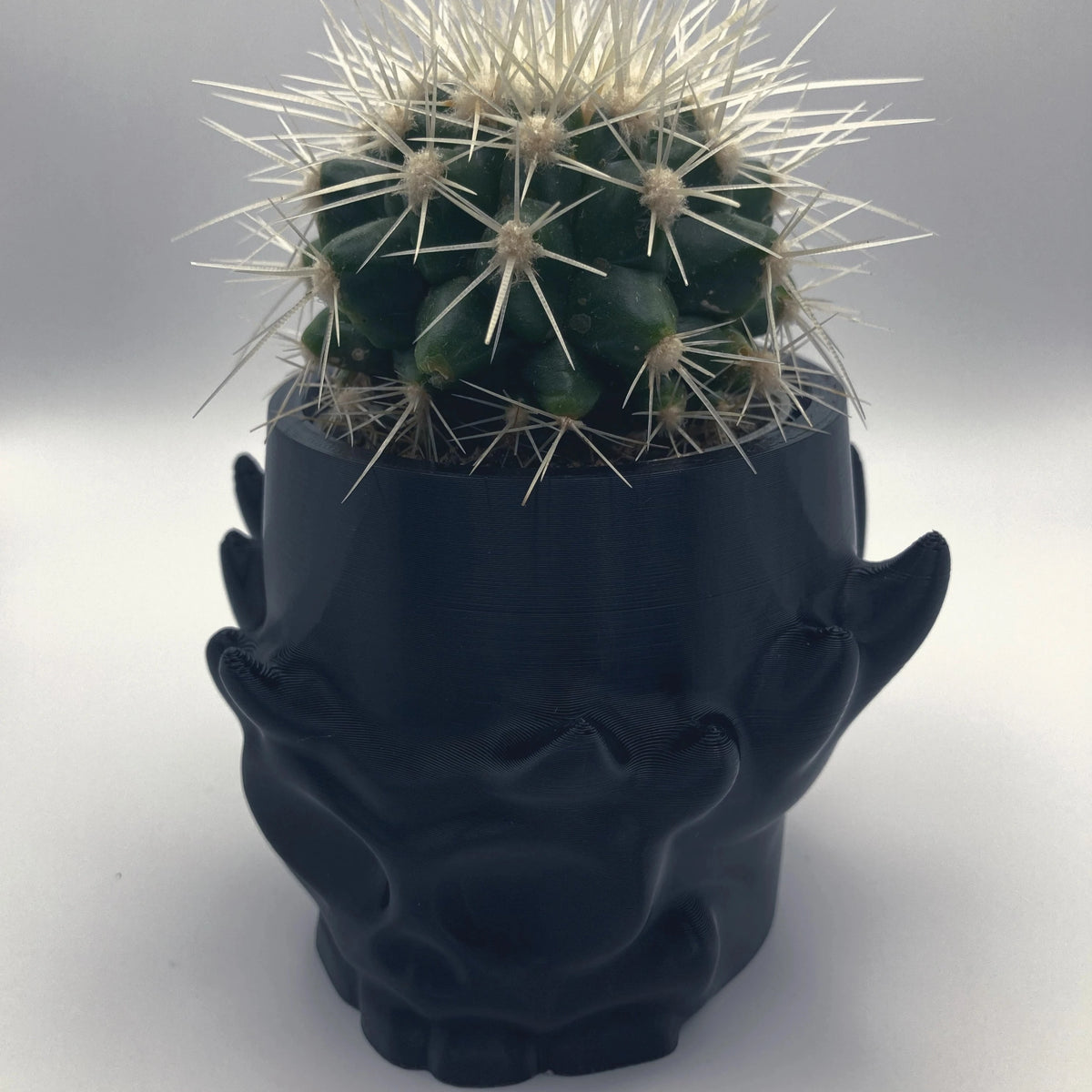 Stylized Skull Pot - Spike