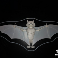 Flexi Bat Toy