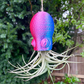 Octopus Hanging Planter for Air Plants