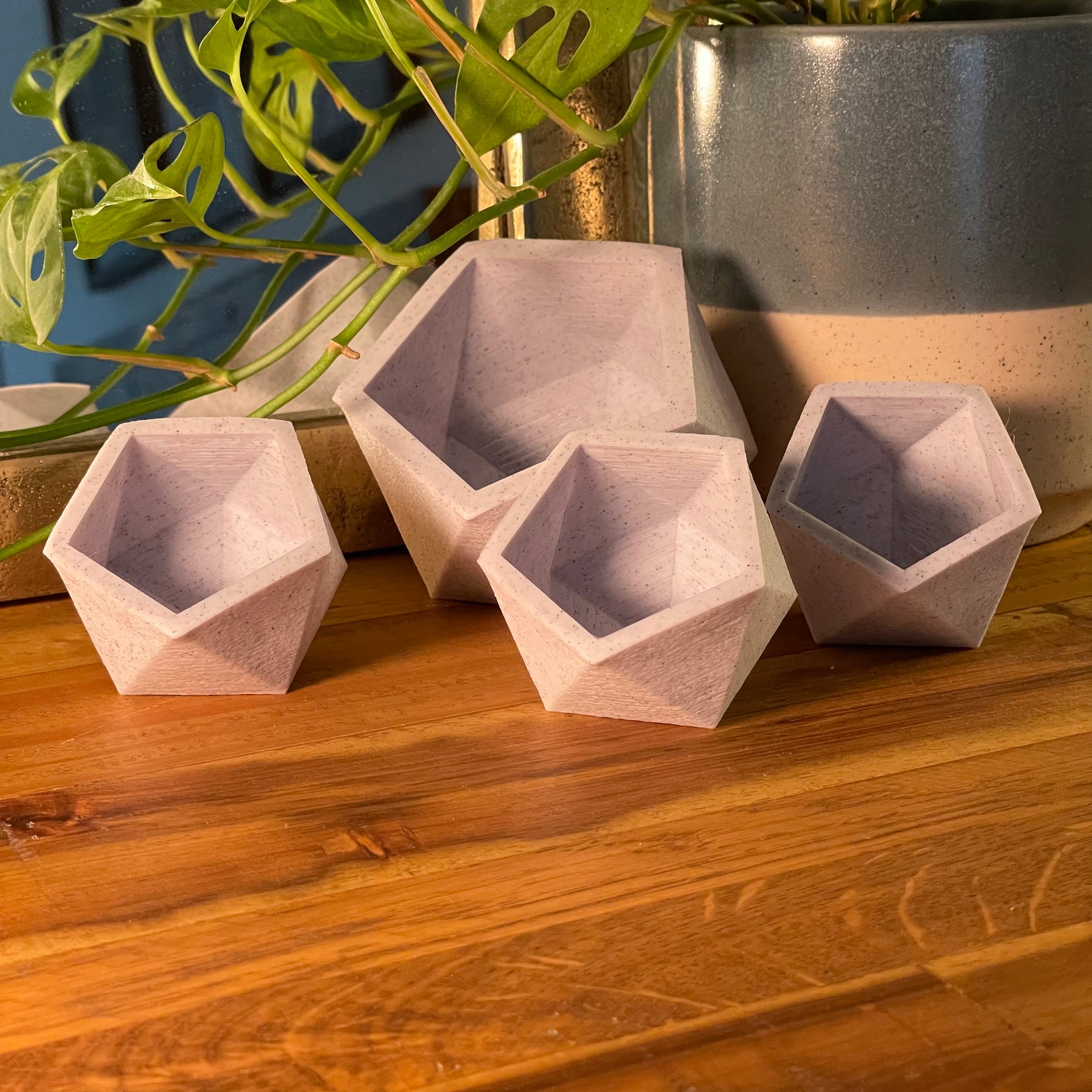 Icosahedron Planter Set