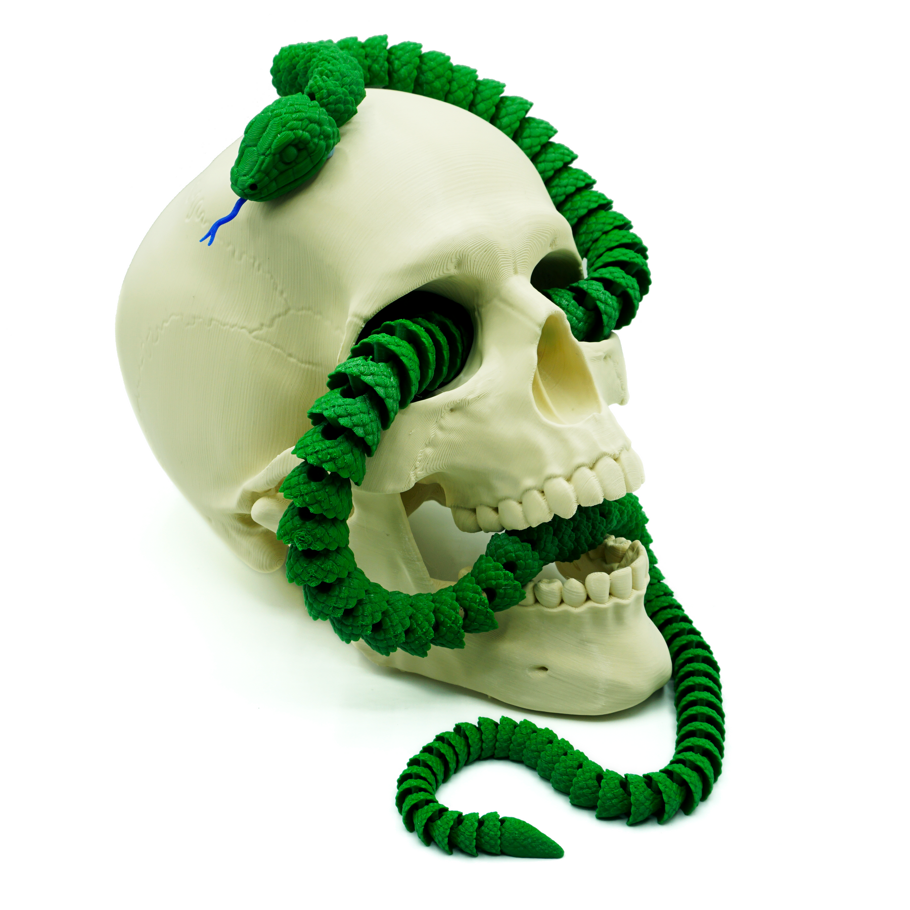 3D Printed Articulating Snake – The Creation Circus