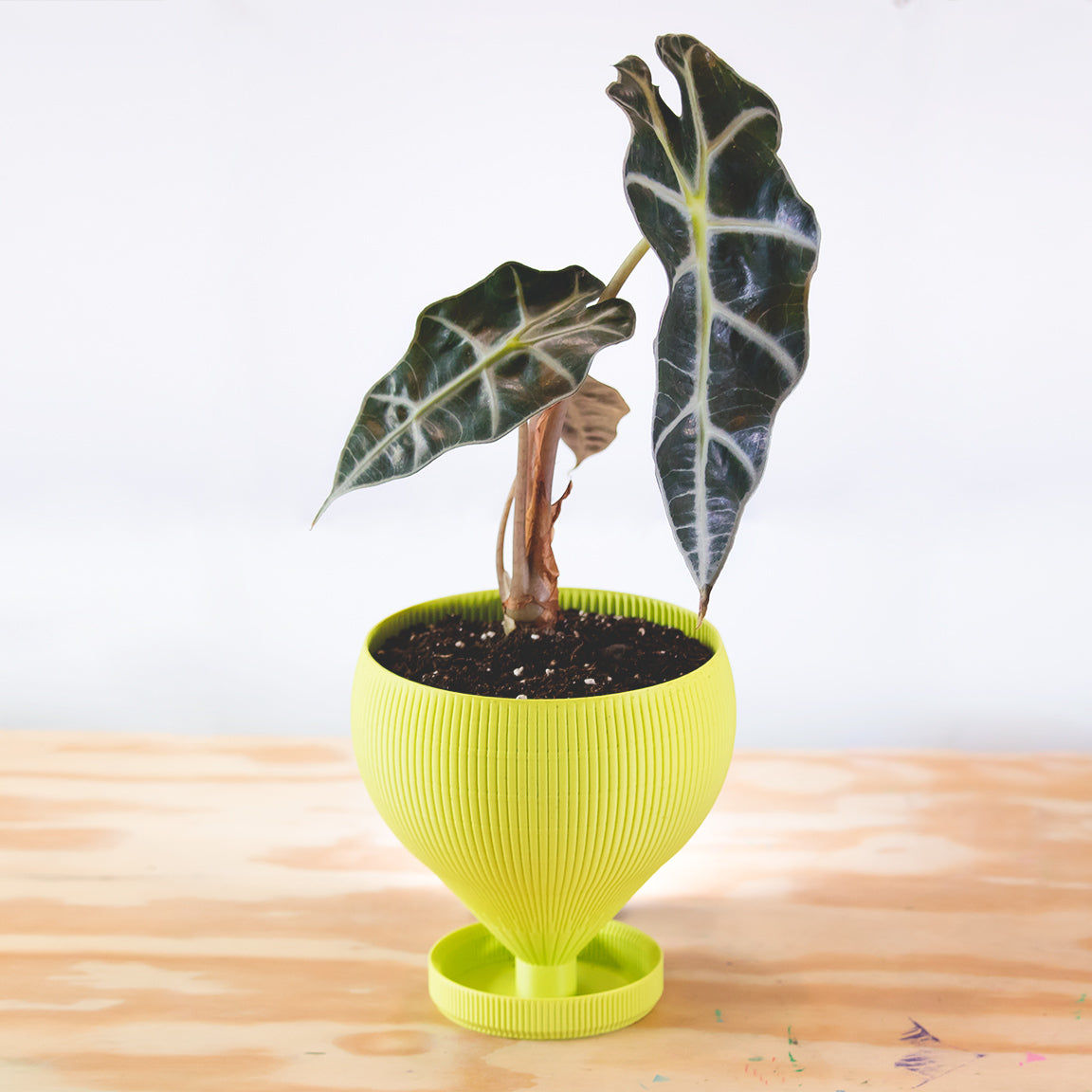 Goblet Planter