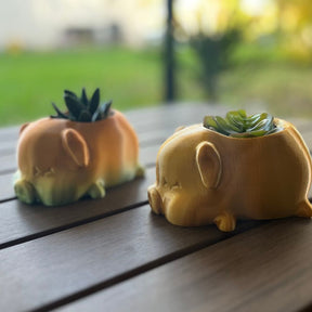 Pig Planter