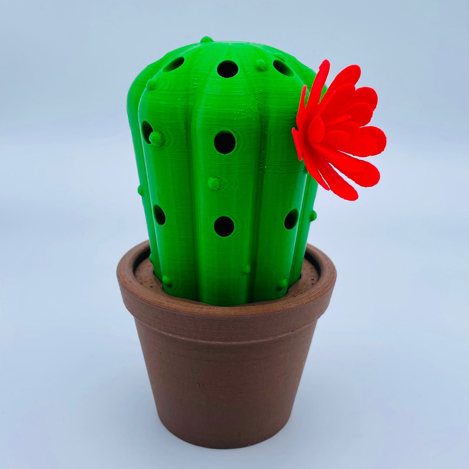 Pencil Box Cactus