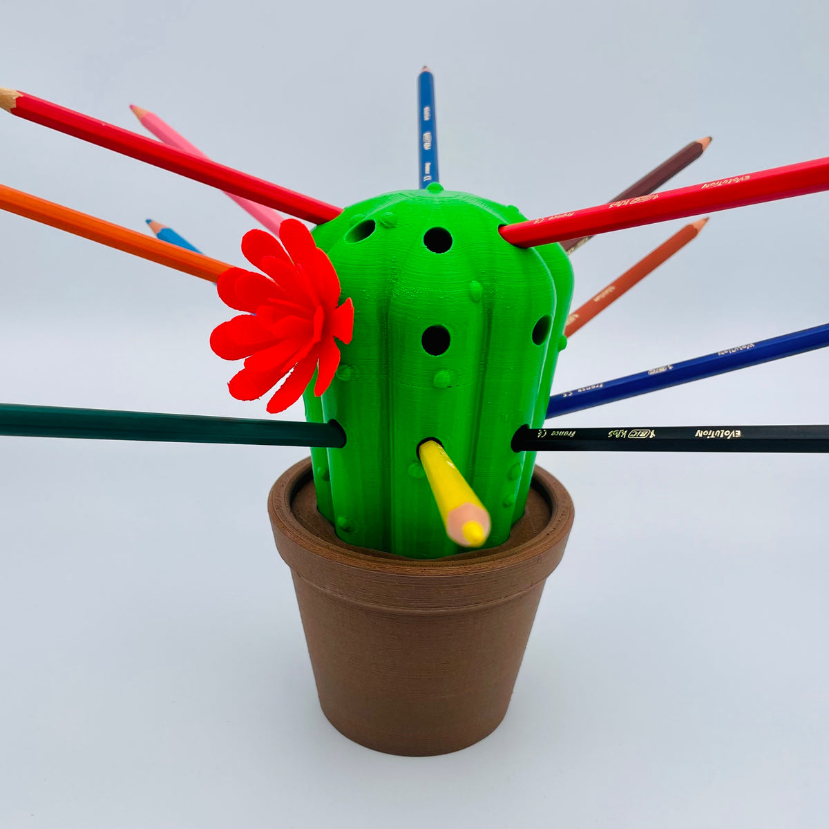 Pencil Box Cactus
